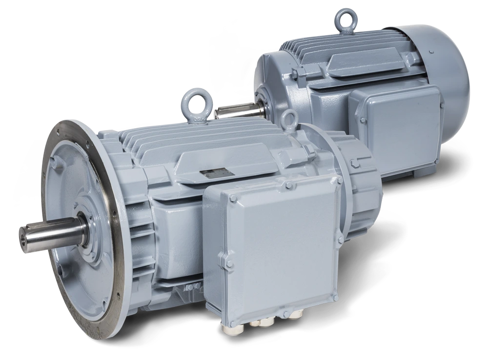 BEN Buchele – Oberflächengekühlter Elektromotor